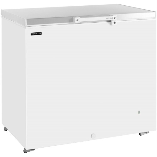 Tefcold GM200SS