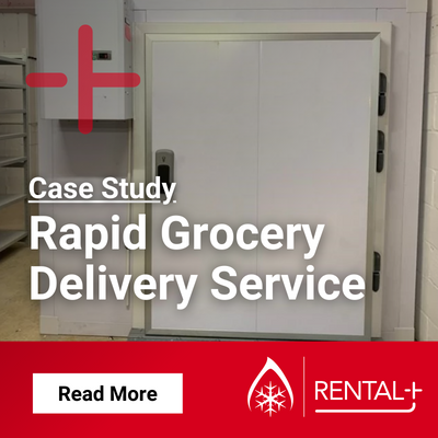 rapid grocery delivery service