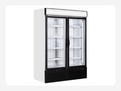 Double Door Chiller